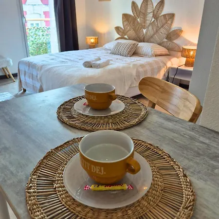 公寓 Le Pelerin - Clim - Vue - Gare 卢德